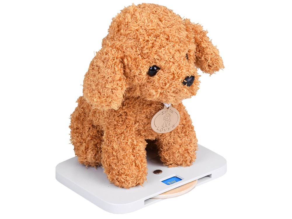 Drewniany Gabinet Klinika Weterynarz z Pluszowym Pieskiem Akcesoria ZA5939 pol_pl_Drewniany-Gabinet-Klinika-Weterynarz-z-Pluszowym-Pieskiem-Akcesoria-ZA5939-22670_7